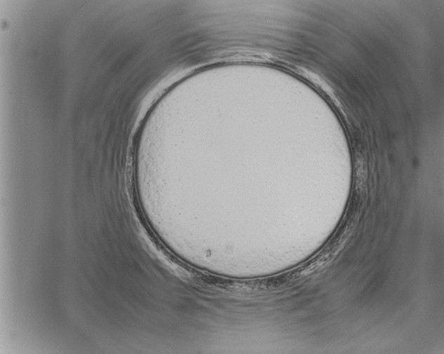 X0000066941379200604211739