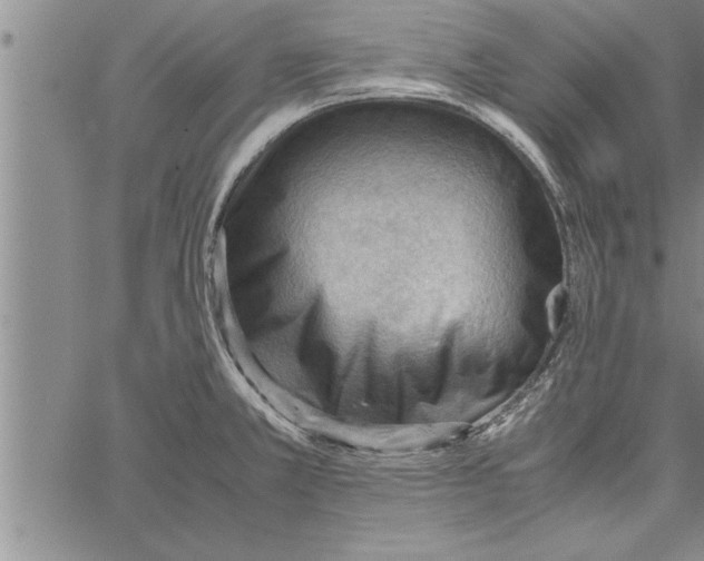 X0000066941381200604211739