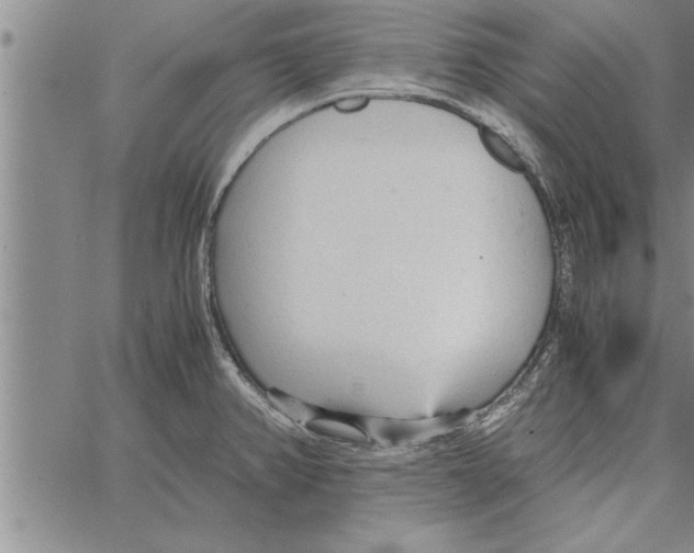 X0000066941382200604211739