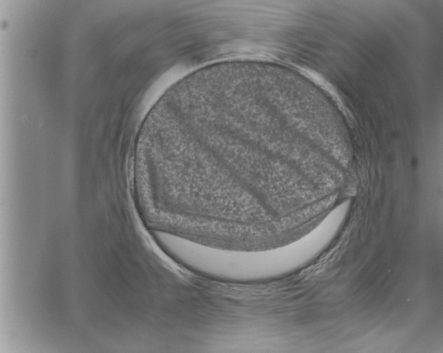 X0000066941383200604211739