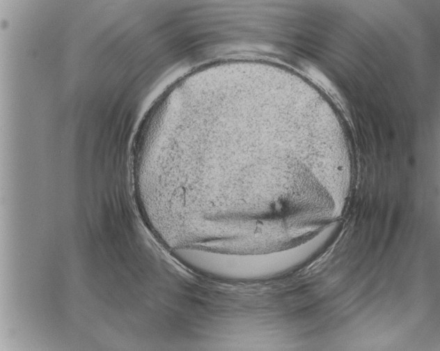 X0000066941384200604211739