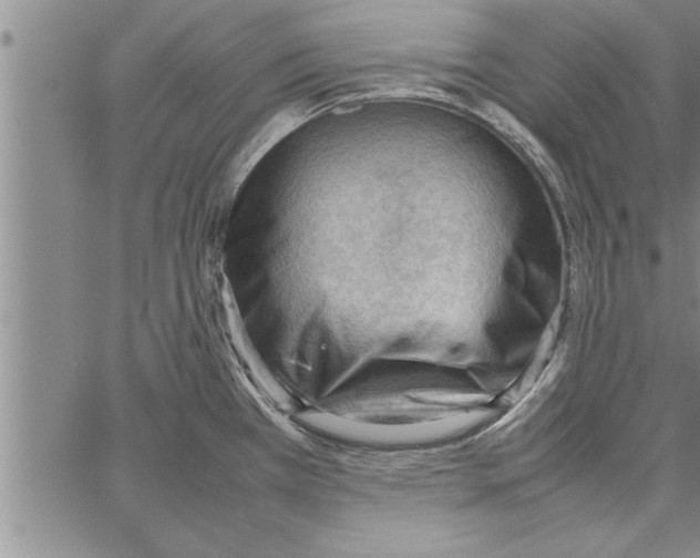 X0000066941385200604211739