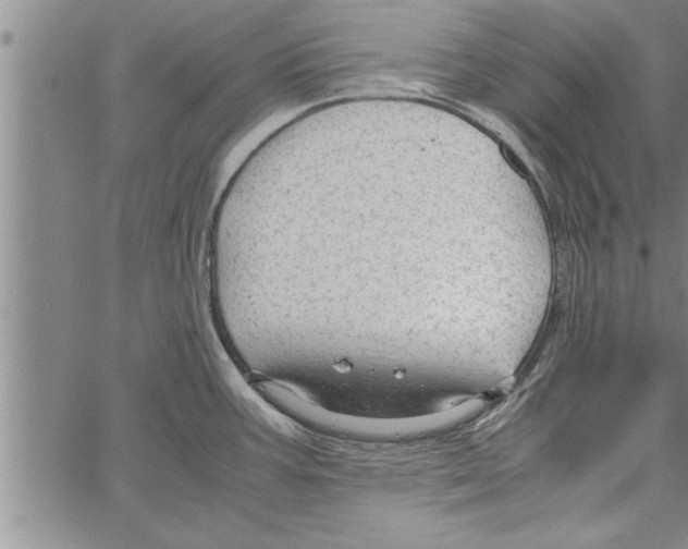 X0000066941387200604211739