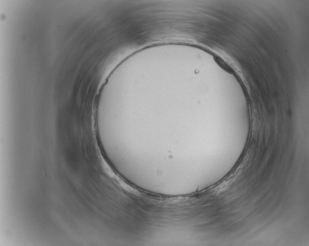 X0000066941390200604211739