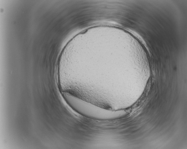 X0000066941391200604211739