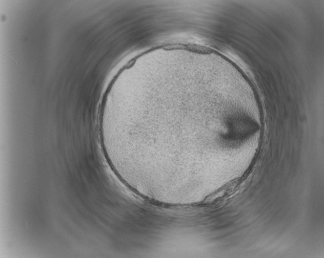 X0000066941392200604211739