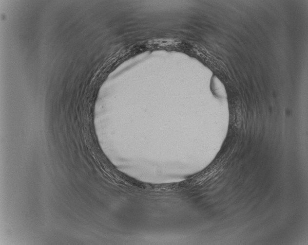 X0000066941393200604211738