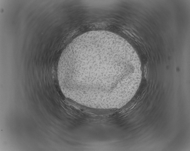 X0000066941395200604211738