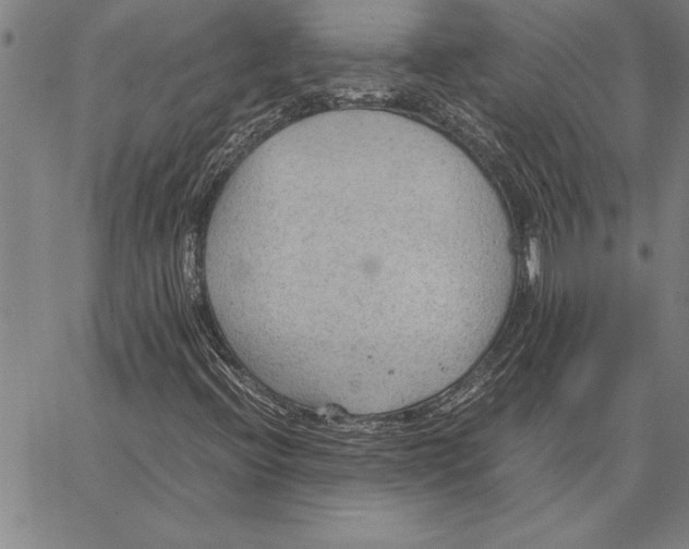 X0000066941396200604211738