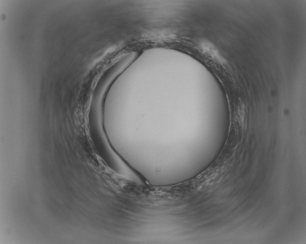 X0000066941398200604211738