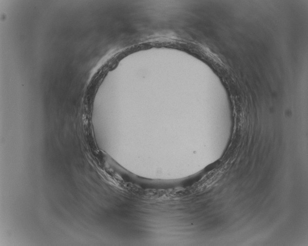 X0000066941400200604211738