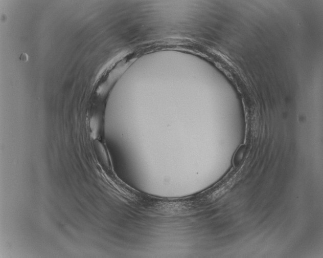 X0000066941402200604211738