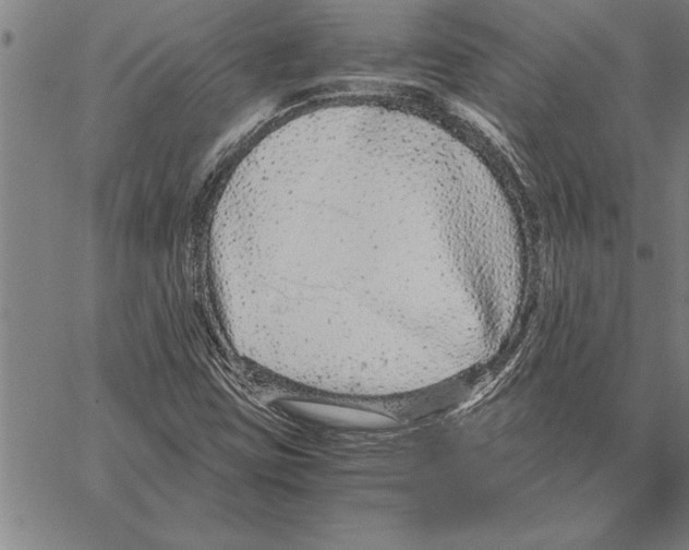 X0000066941403200604211738