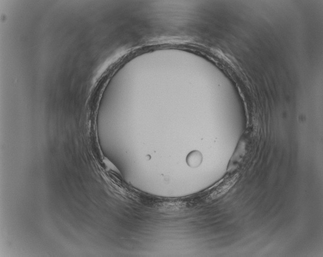 X0000066941406200604211738