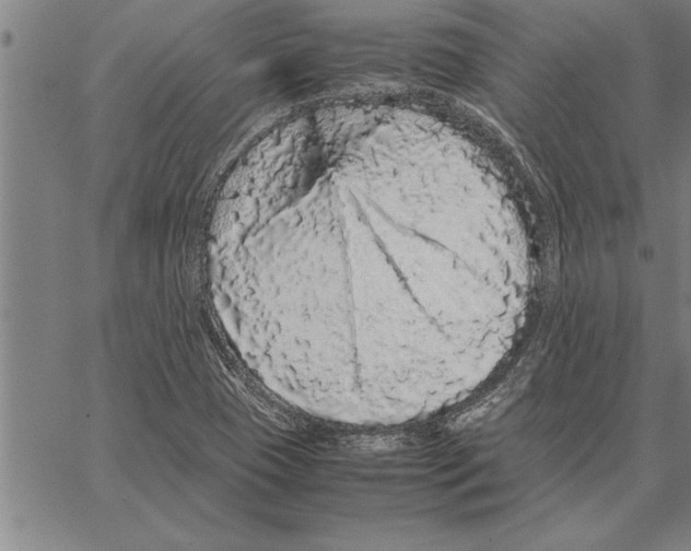 X0000066941409200604211738