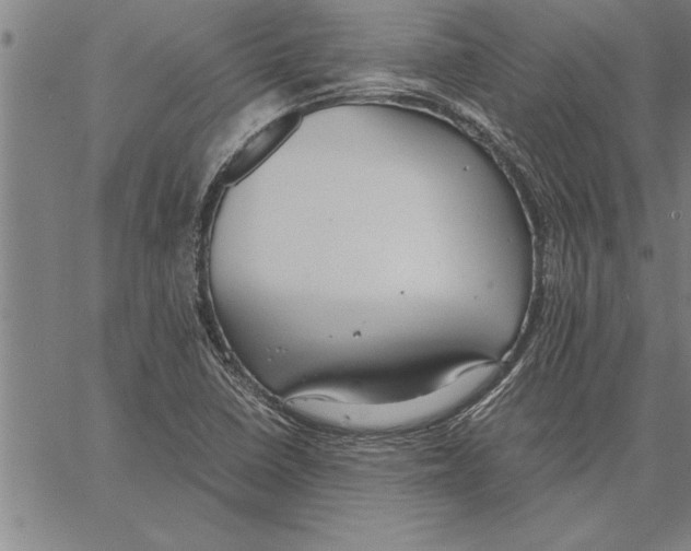 X0000066941410200604211738