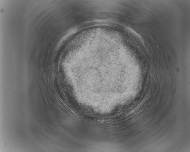 X0000066941411200604211738