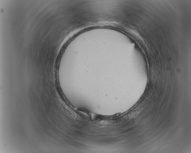 X0000066941412200604211738