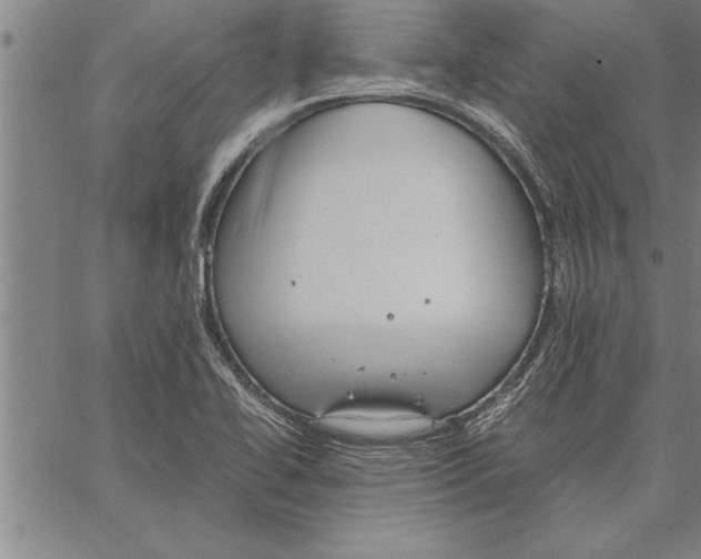 X0000066941414200604211738