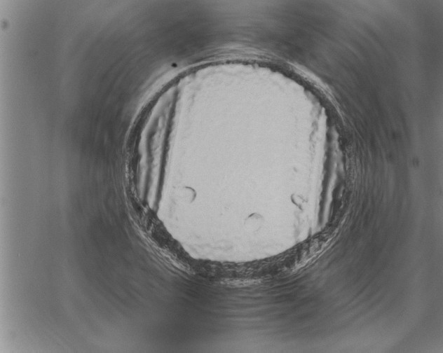 X0000066941415200604211738