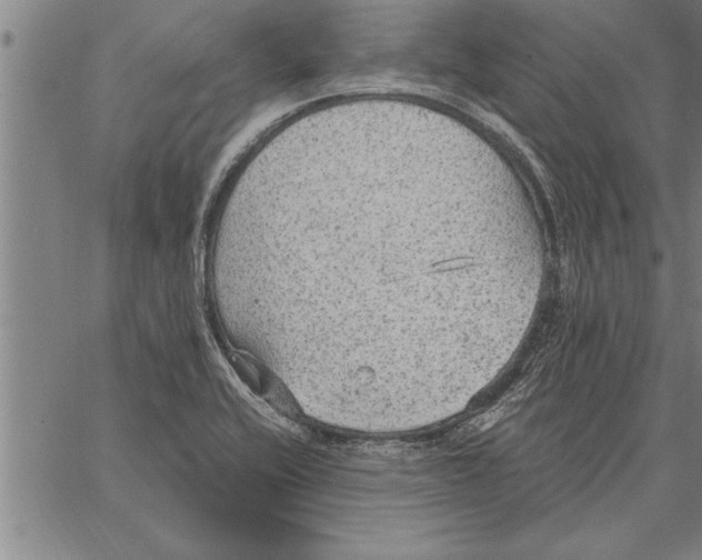 X0000066941416200604211738