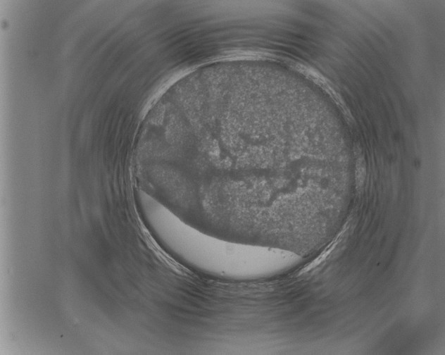 X0000066941417200604211738