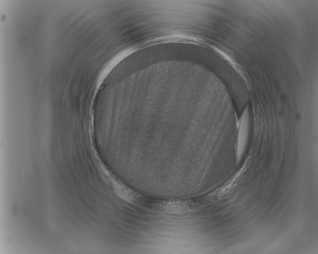 X0000066941418200604211738