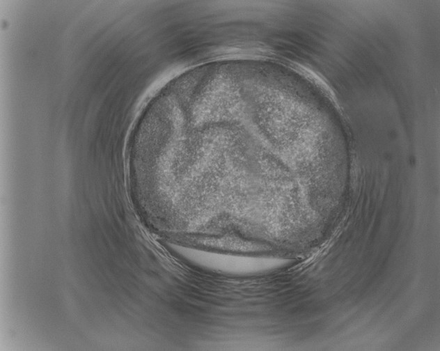 X0000066941419200604211738