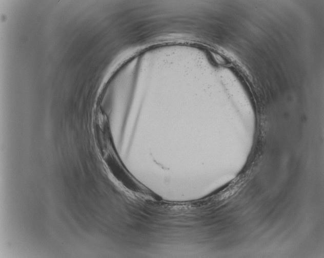 X0000066941421200604211738