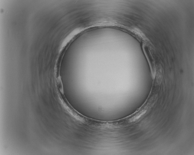 X0000066941422200604211738