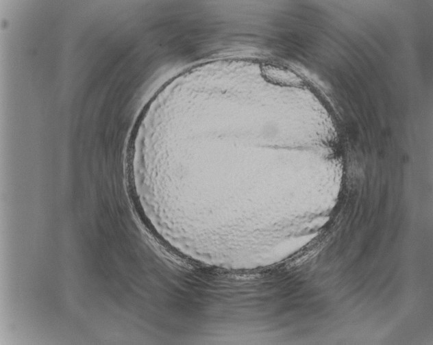 X0000066941423200604211738