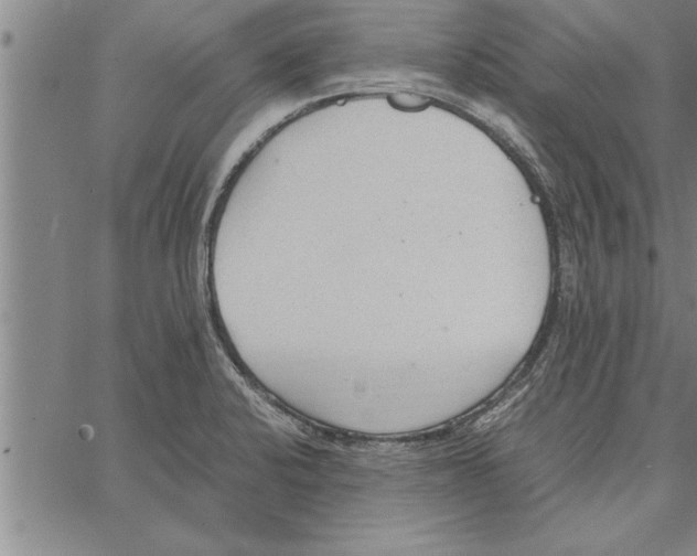 X0000066941424200604211738