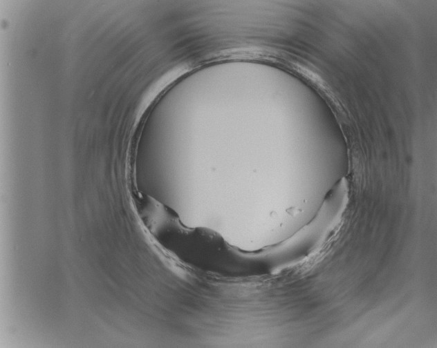 X0000066941426200604211738