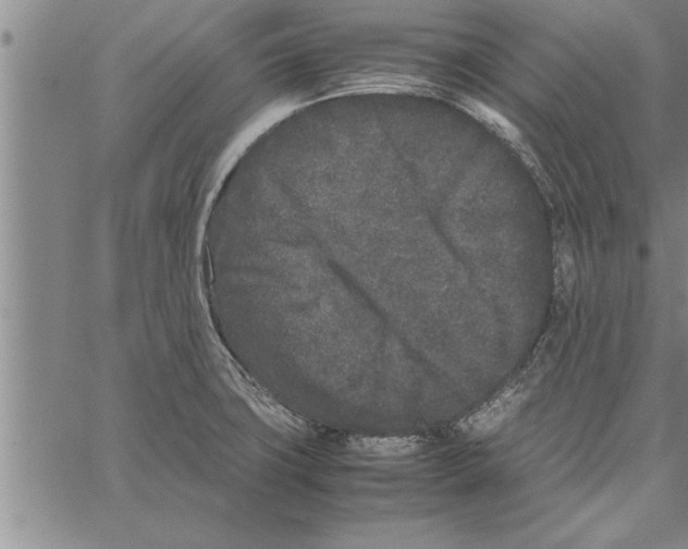 X0000066941427200604211738