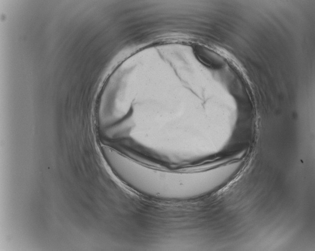 X0000066941429200604211738