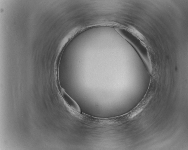 X0000066941430200604211738