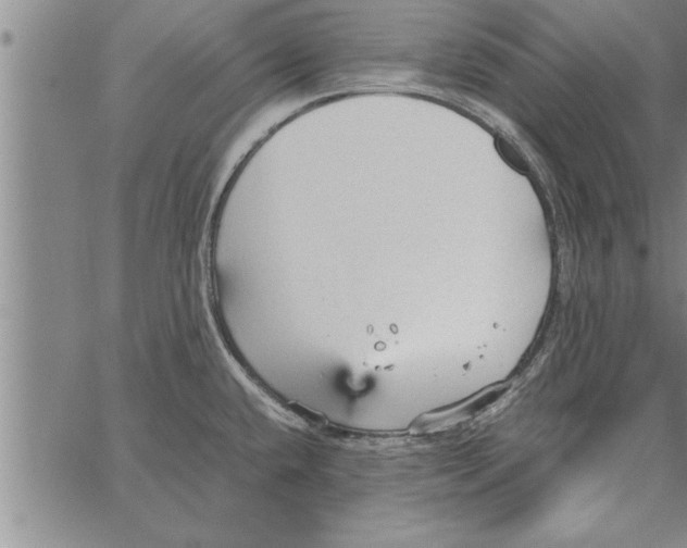 X0000066941432200604211738