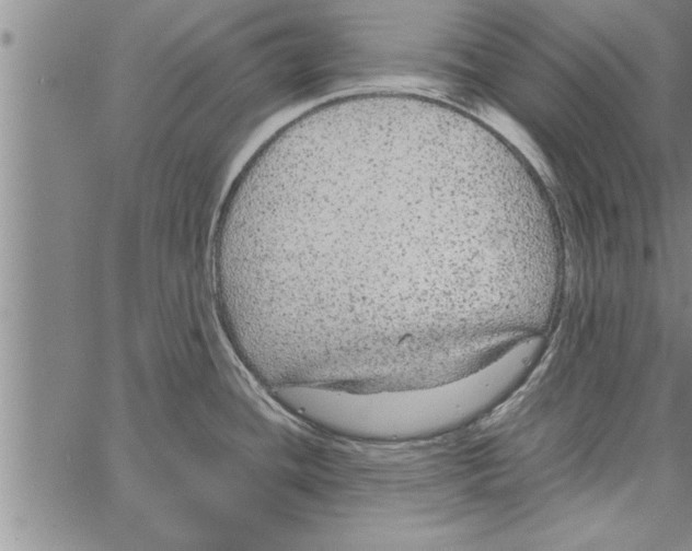 X0000066941436200604211738