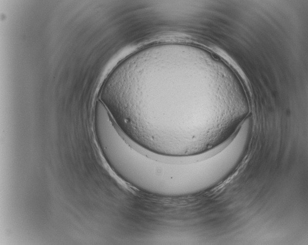 X0000066941437200604211738