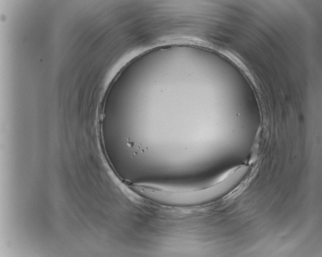 X0000066941438200604211738