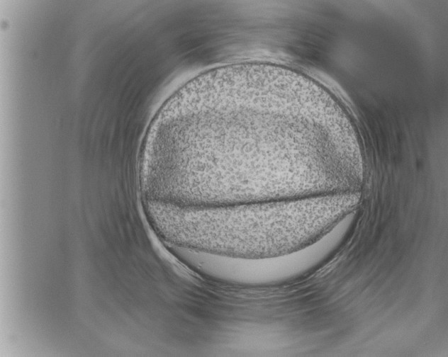 X0000066941439200604211738