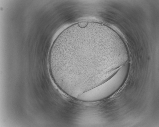 X0000066941440200604211738