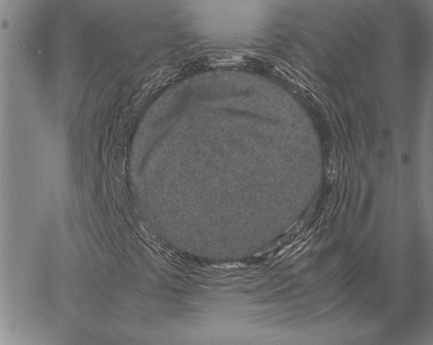 X0000066941441200604211738