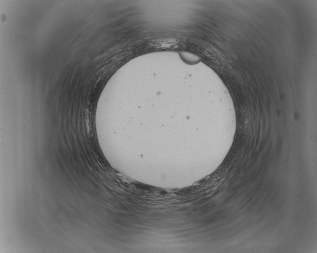 X0000066941442200604211738