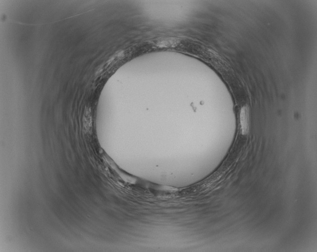 X0000066941443200604211738