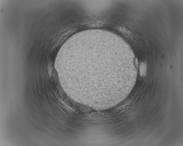 X0000066941444200604211738