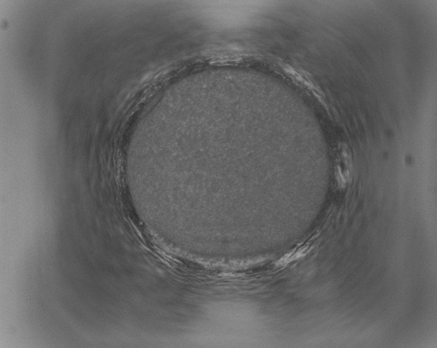 X0000066941445200604211738