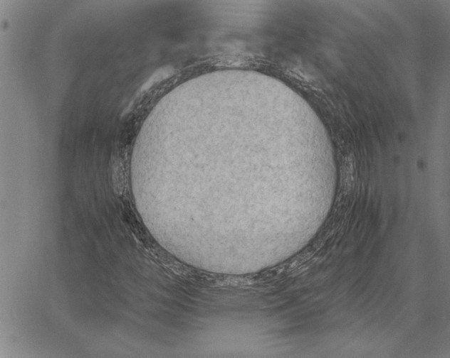 X0000066941446200604211738