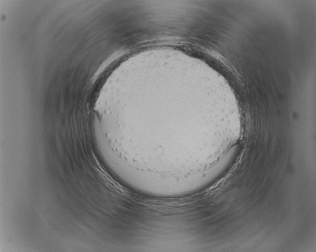 X0000066941450200604211738