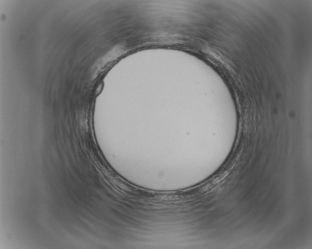 X0000066941451200604211738